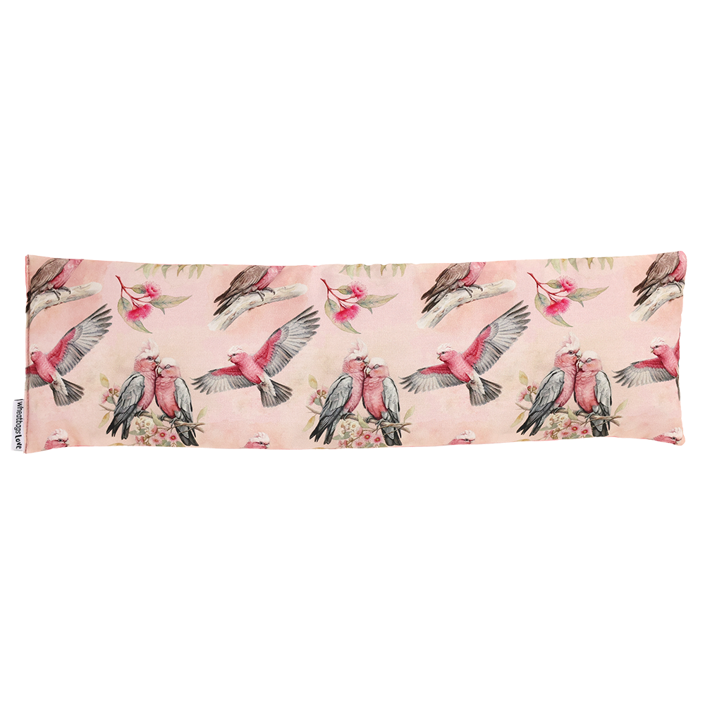 Wheatbag Galah